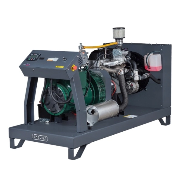 Газовый генератор GAZVOLT STANDARD 10Т11 1 фаза
